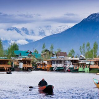 Hair Hair Everywhere Goldilocks