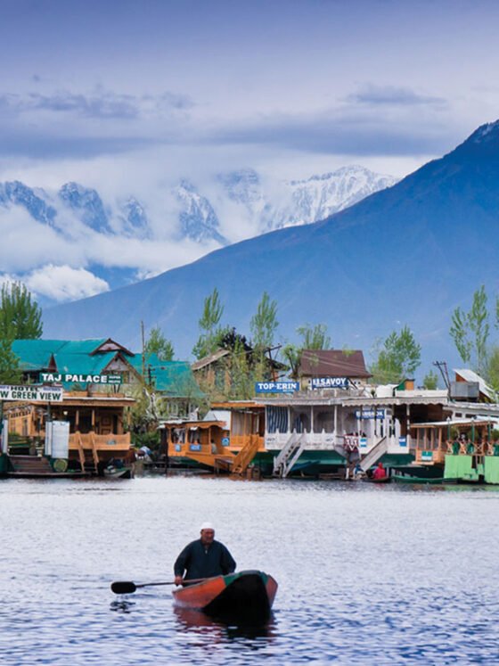 High on Chai The Steaming Cuppa Tea